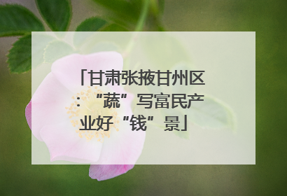 甘肃张掖甘州区：“蔬”写富民产业好“钱”景